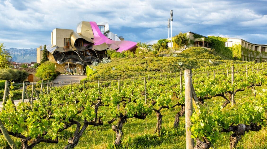 Best Wineries in Rioja Wine Region