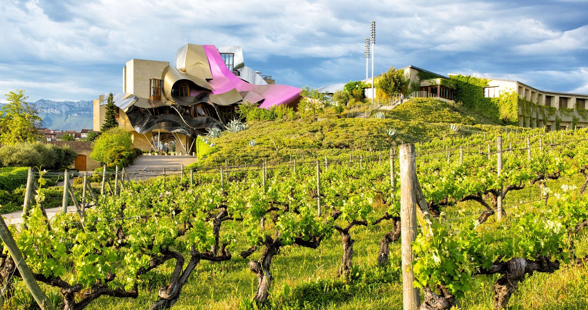 Best Wineries in Rioja Wine Region