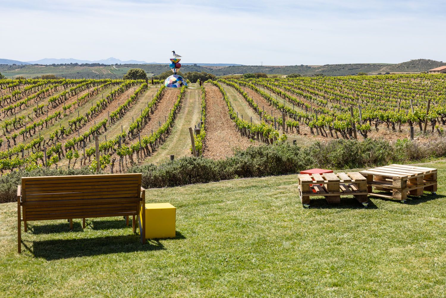 Bodegas Campo Viejo