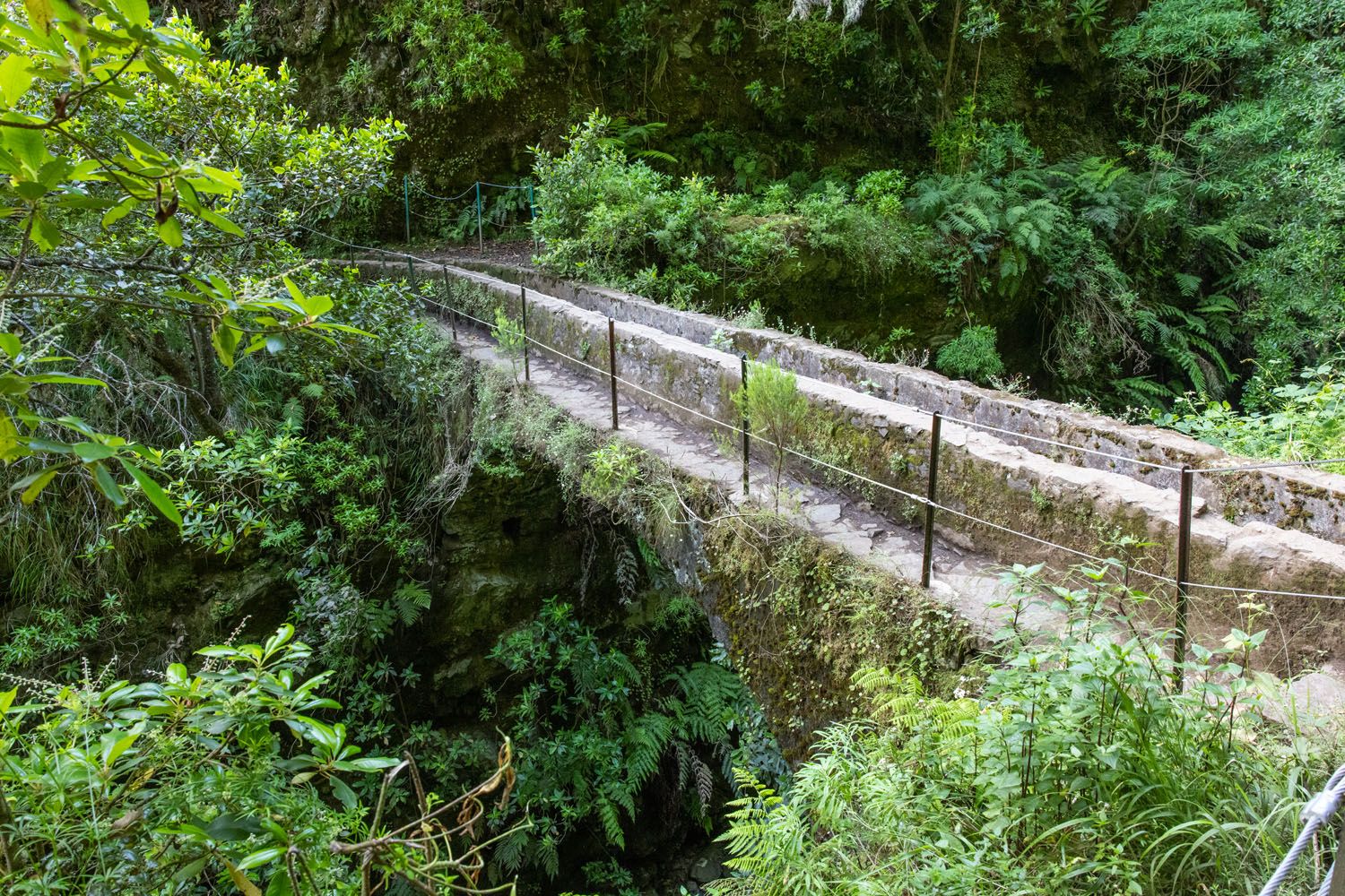 Bridge on the Trail