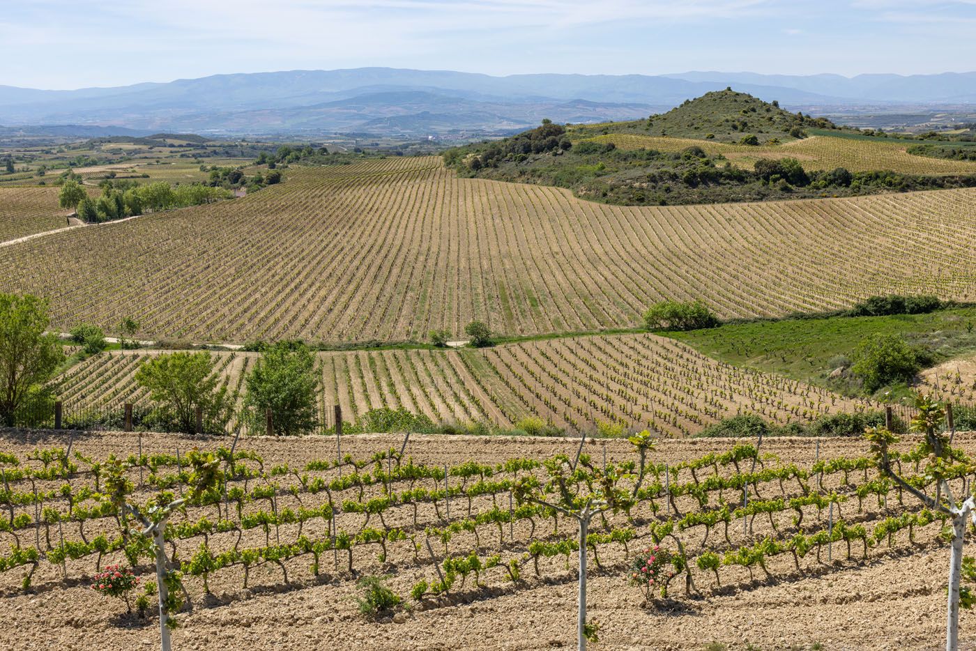 Eguren Ugarte Rioja View