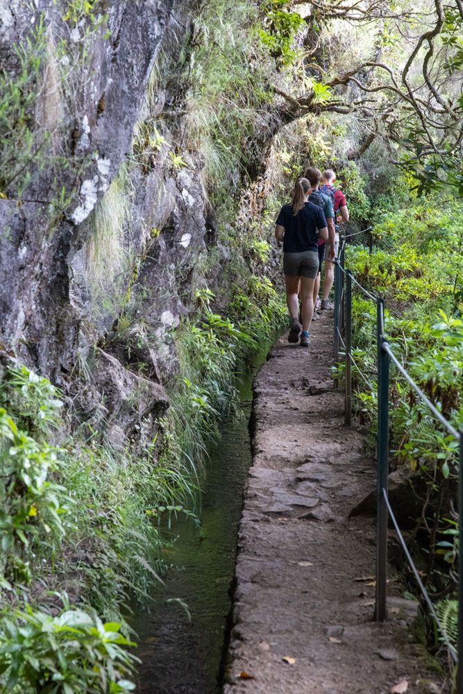 How to Hike Levada do Caldeirão Verde