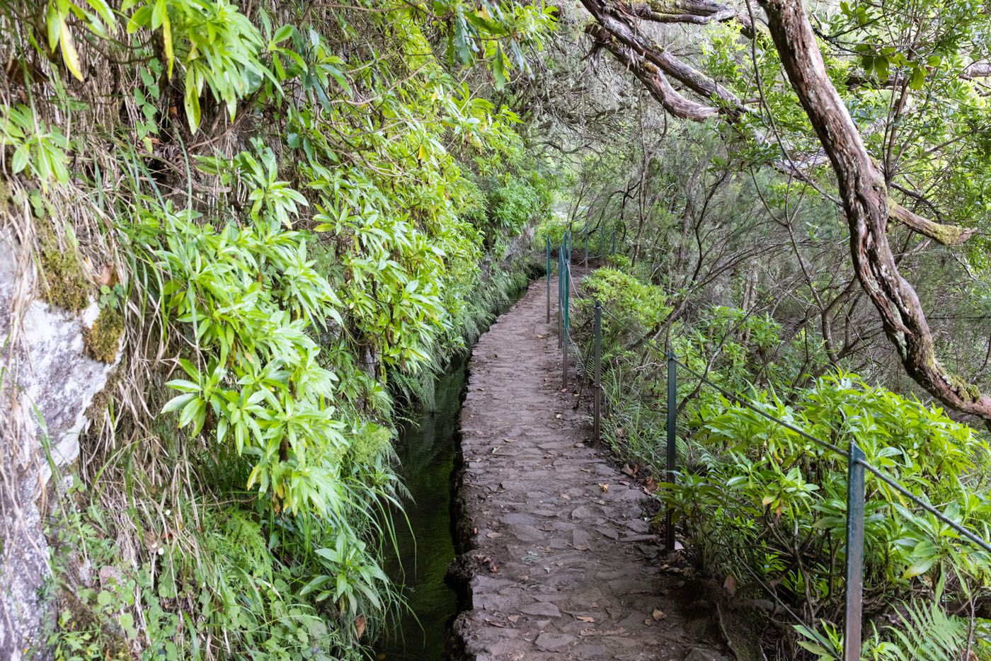 Levada do Caldeirão Verde PR9