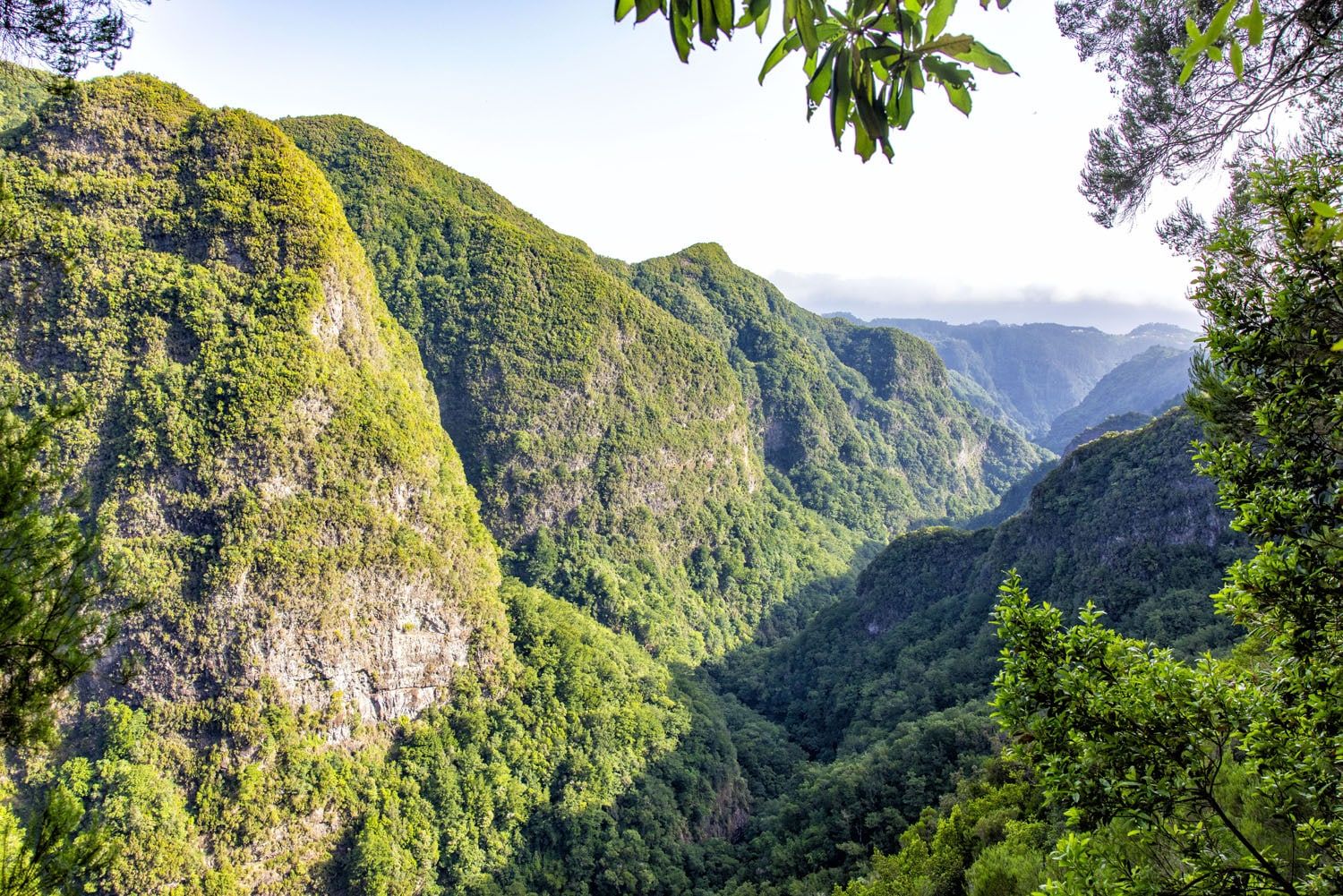 View from the Trail