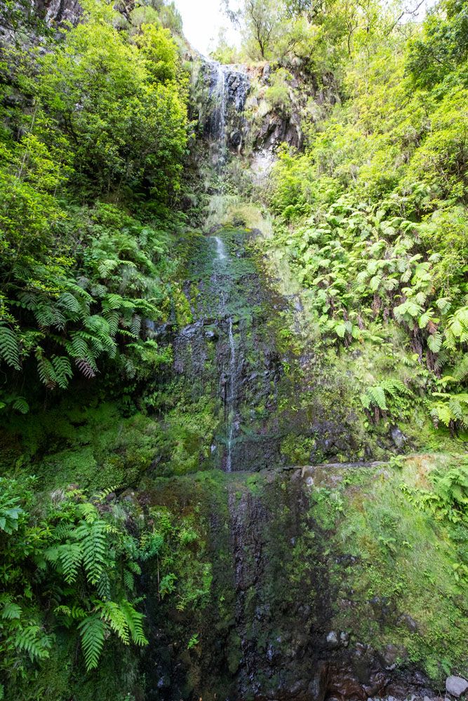 Waterfall on the Trail