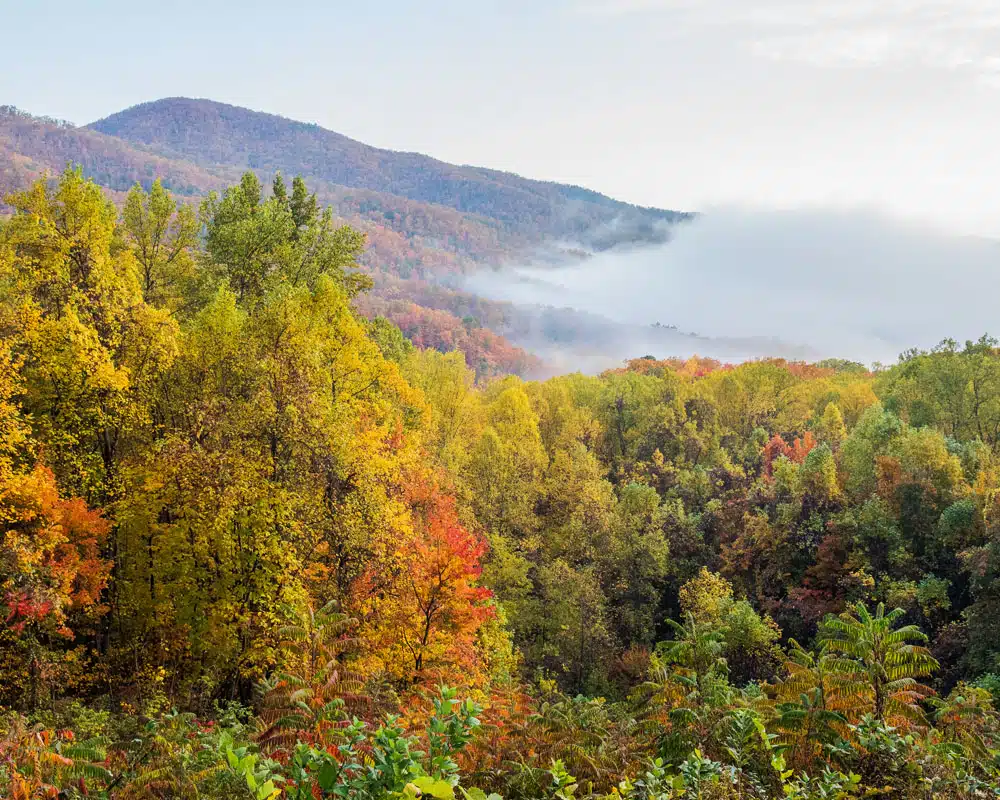 Great Smoky Mountains