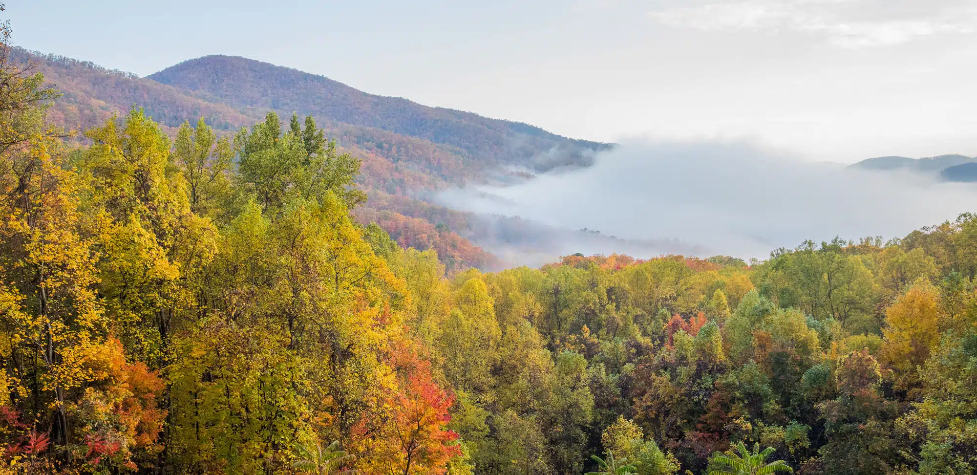 Great Smoky Mountains