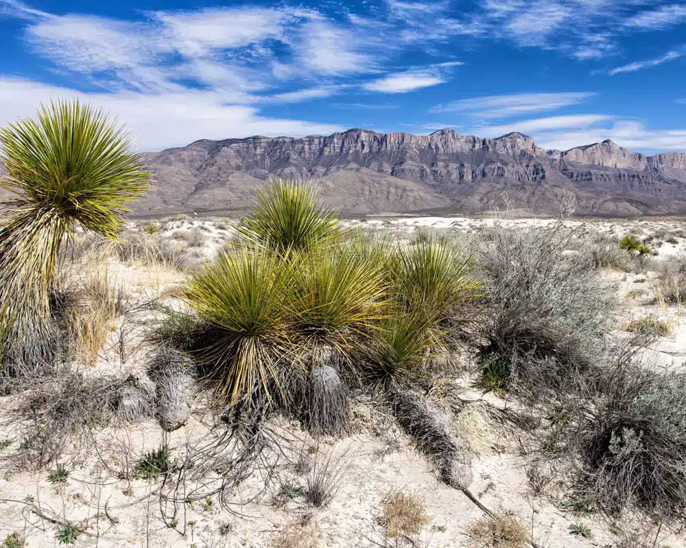 Guadalupe Mountains