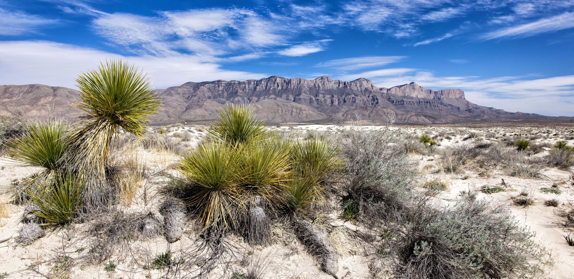 Guadalupe Mountains National Park