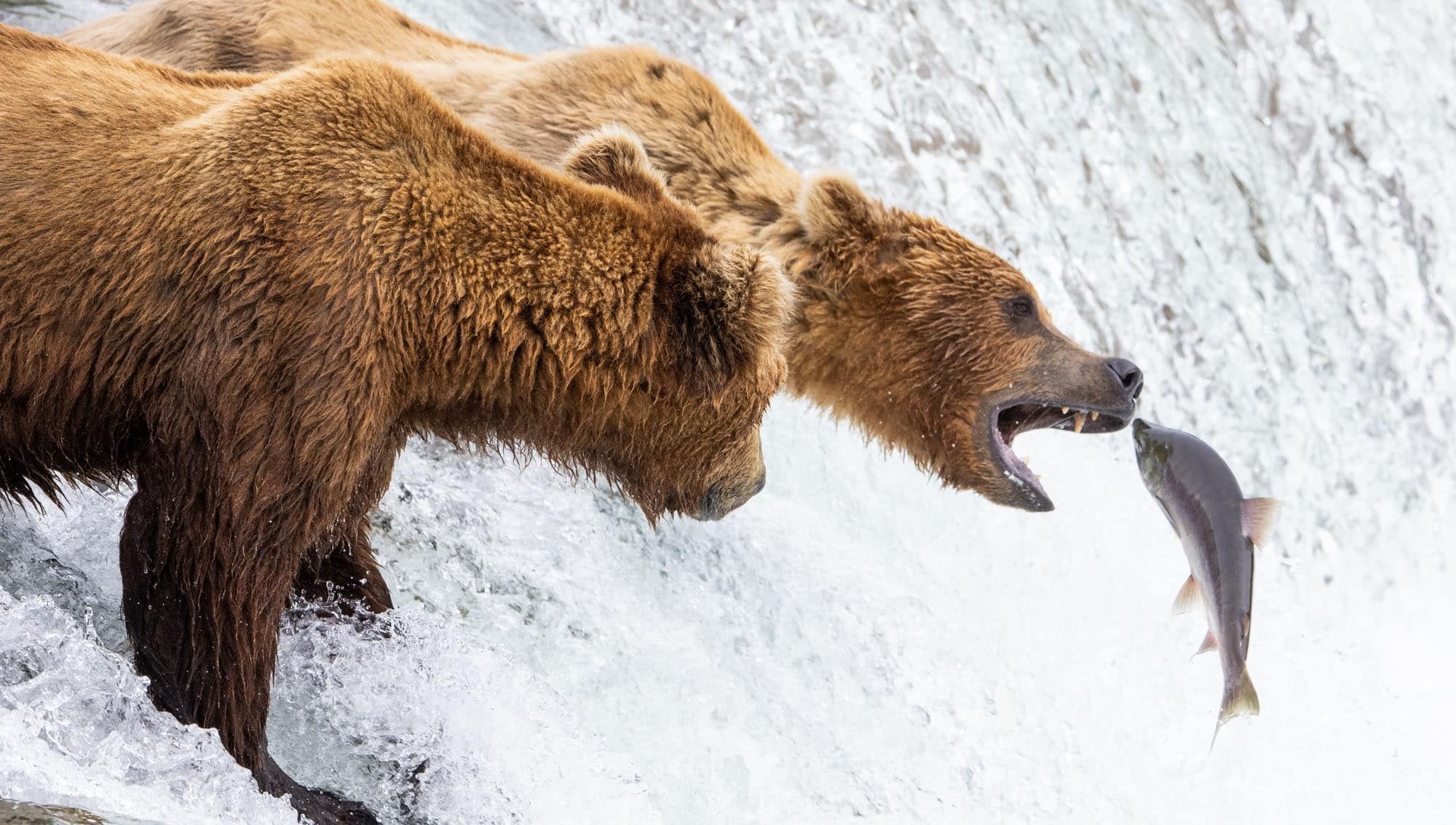 Katmai