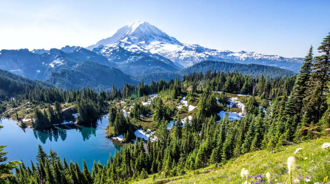 Mount Rainier National Park