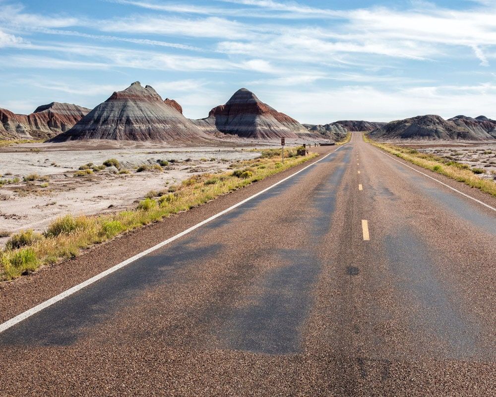 Petrified Forest