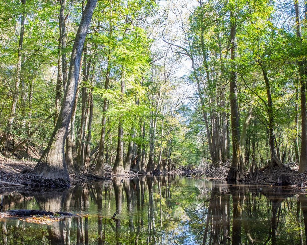 South Carolina