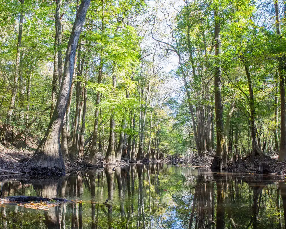 South Carolina