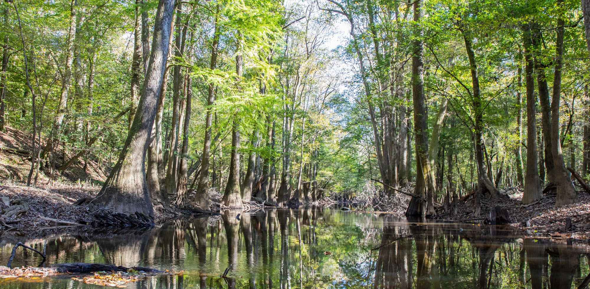 South Carolina