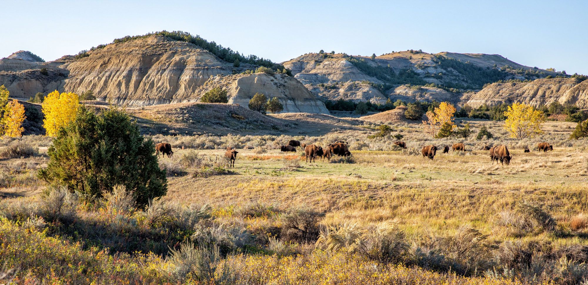 Theodoro Roosevelt National Park