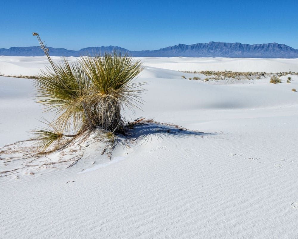 White Sands