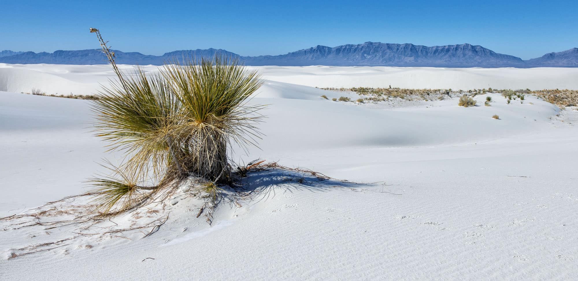 White Sands National Park