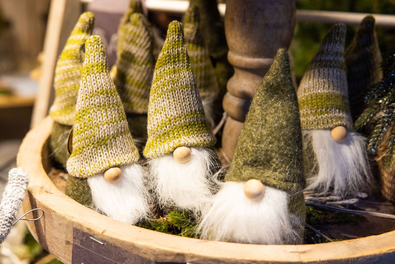 Gnomes for Sale