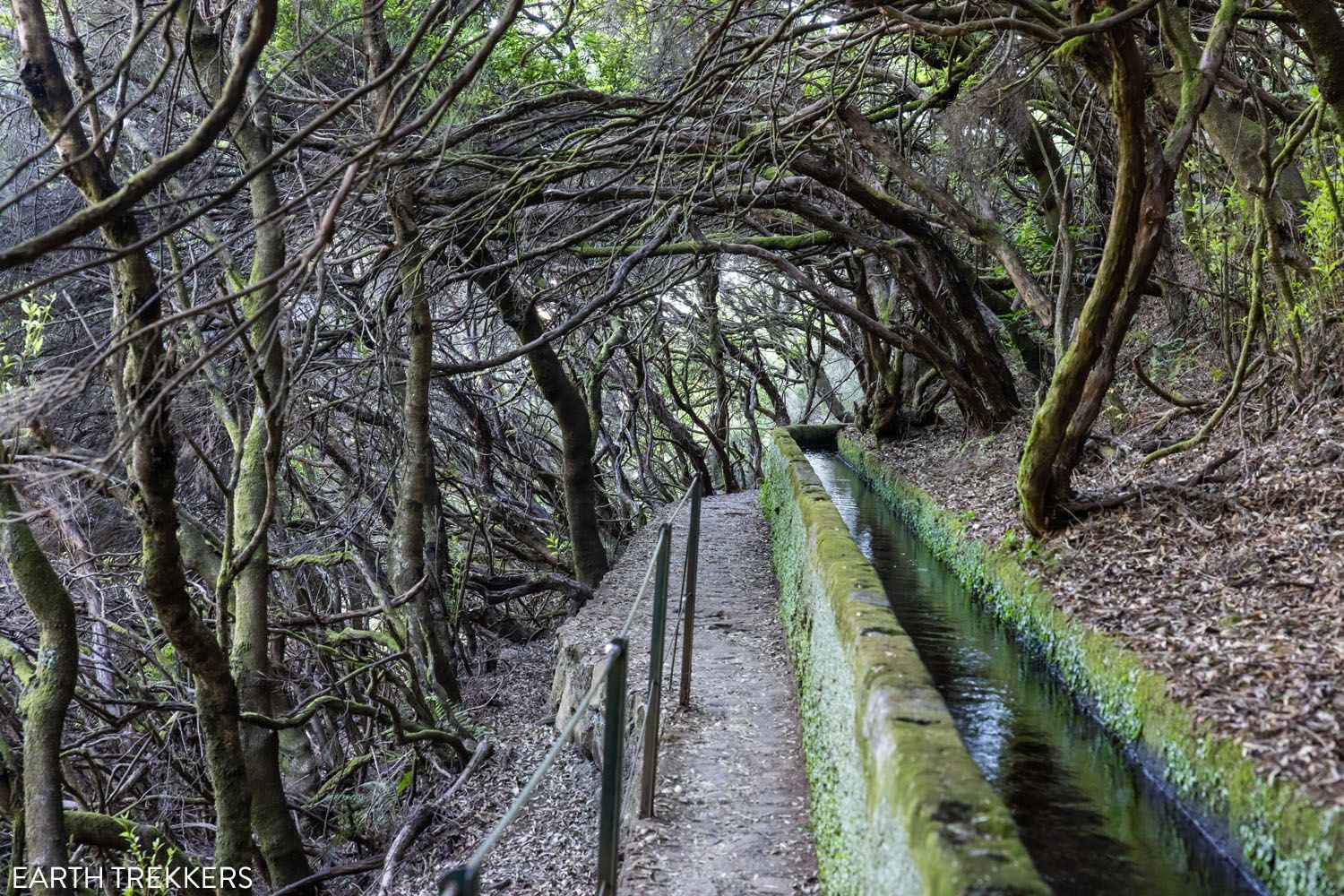 Best Hikes in Madeira