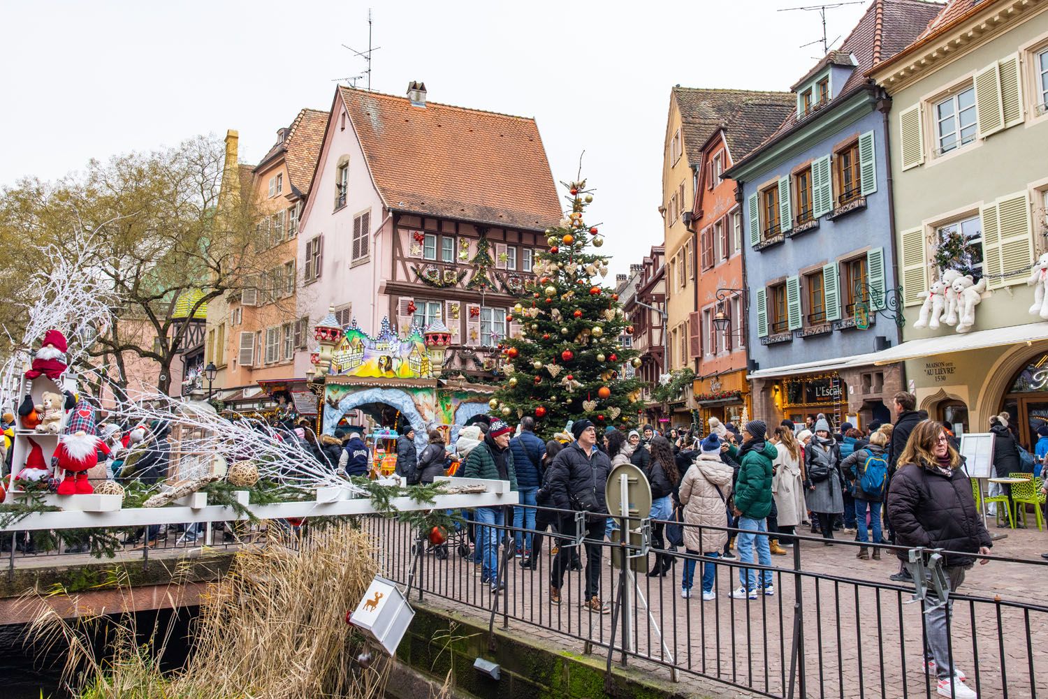 Colmar Christmas Tree