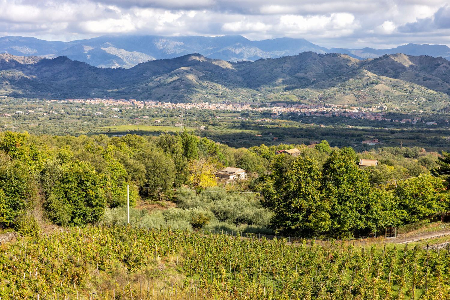 Etna Wine Region