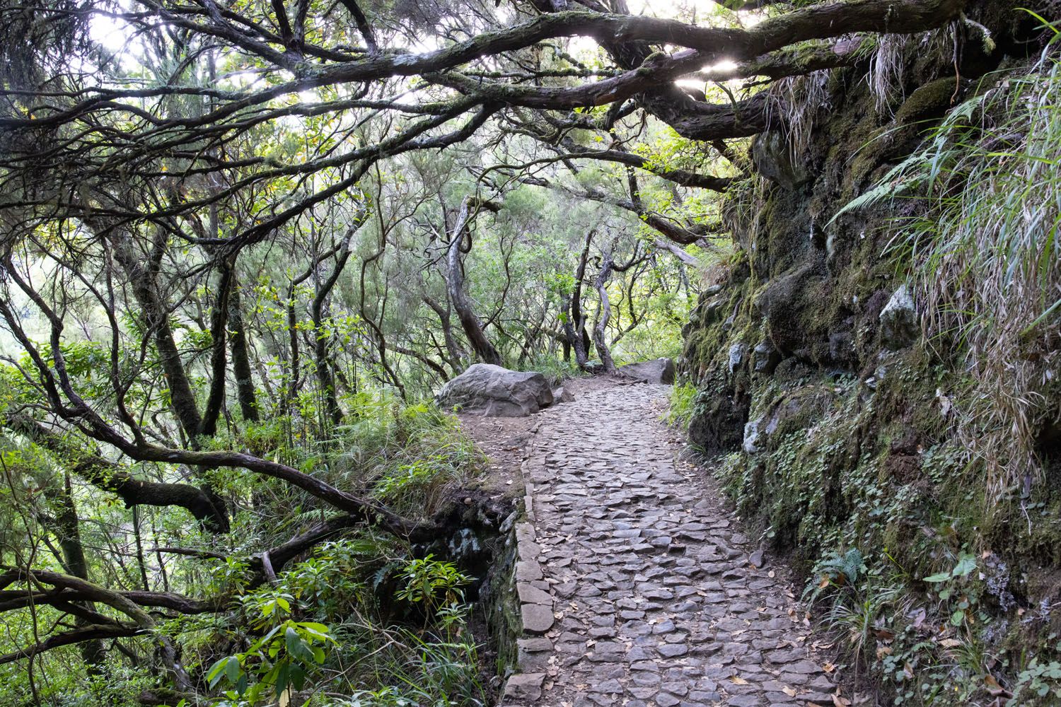 How to Hike 25 Fontes Madeira