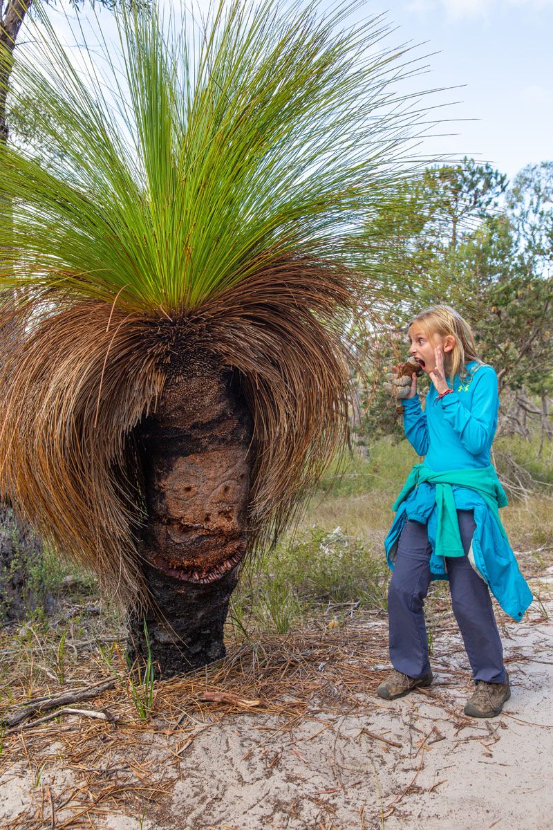 Kara and Crazy Tree