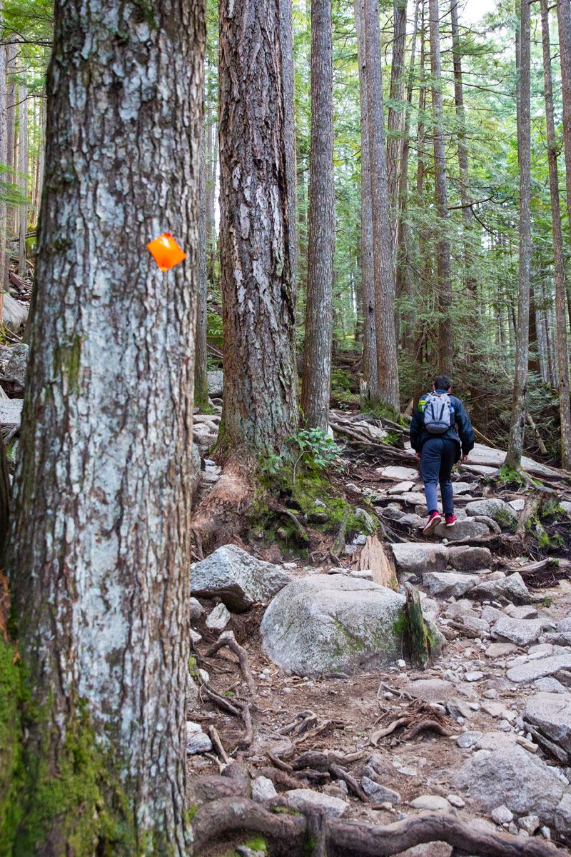 Stawamus Chief Orange Marker