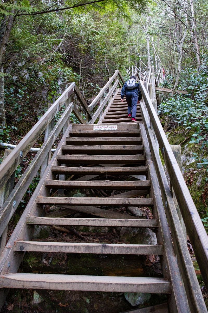 Stawamus Chief Stairs