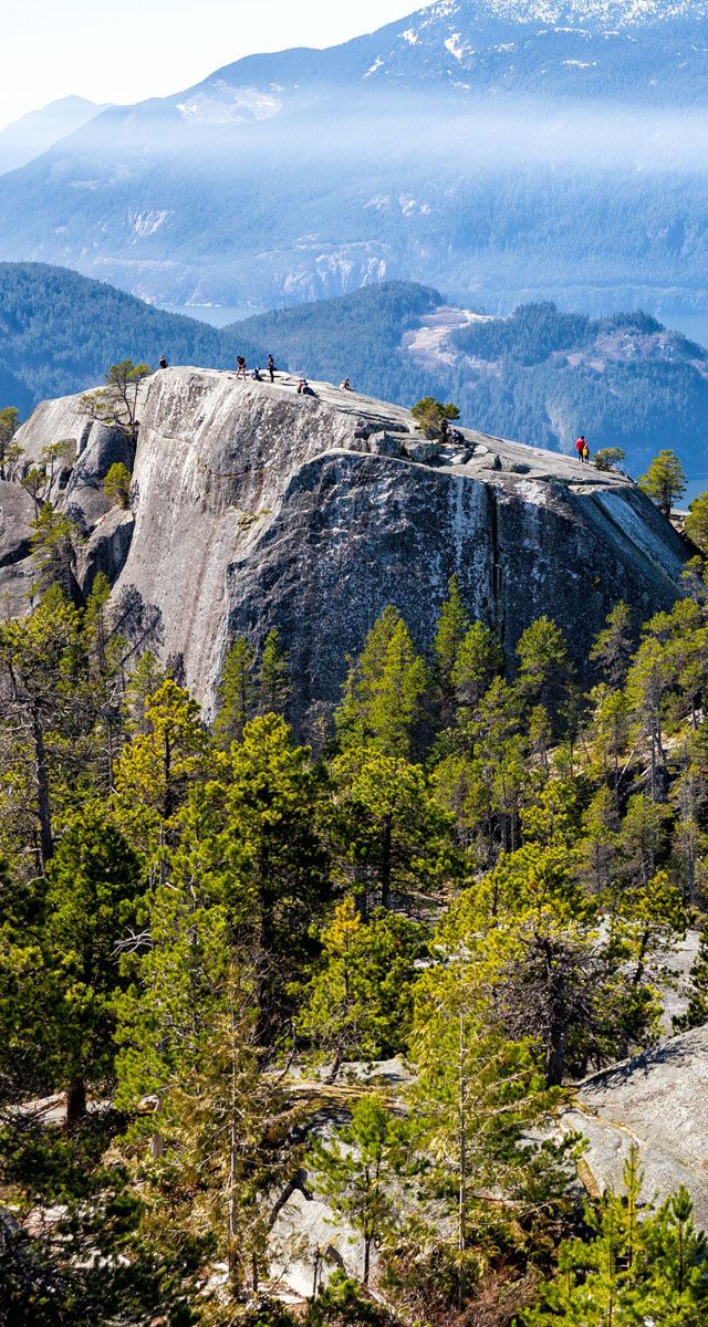 Stawamus