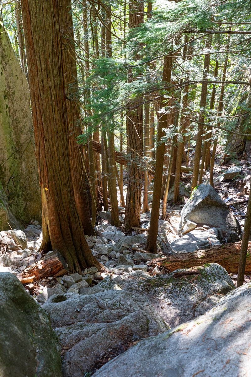 Steep Trail Stawamus Chief