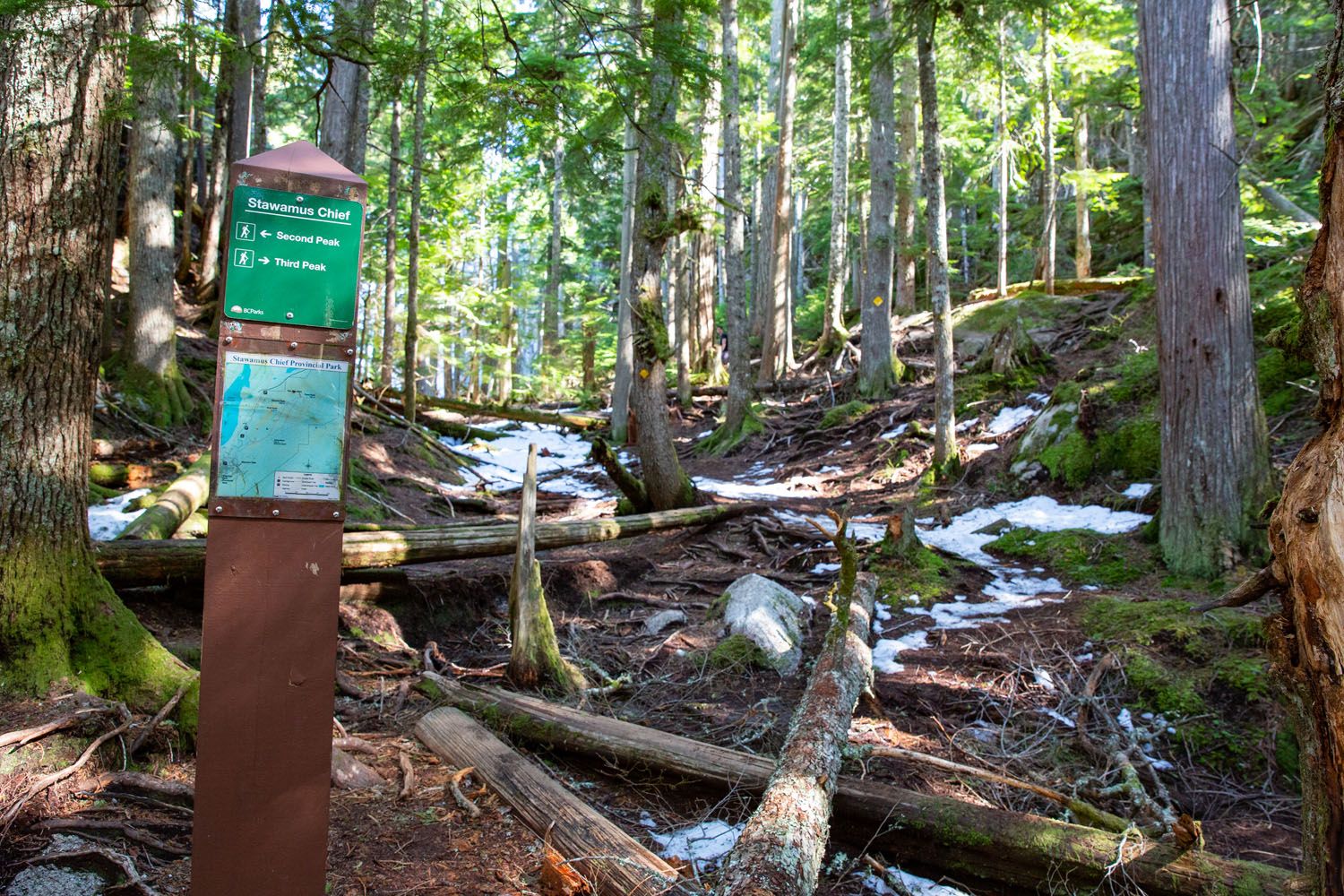 Trail Sign Stawamus Chief Hike