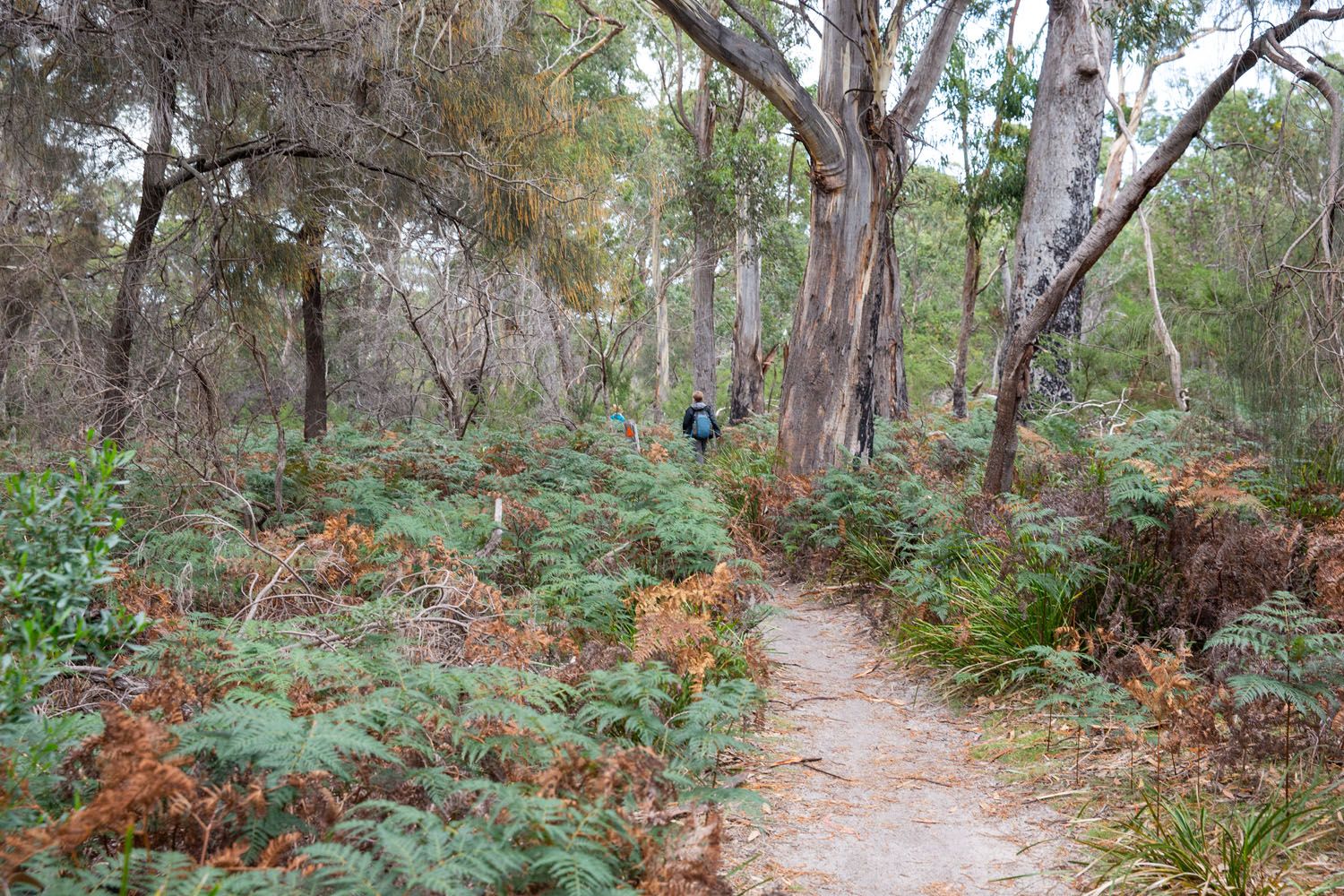 Trail Wineglass Bay