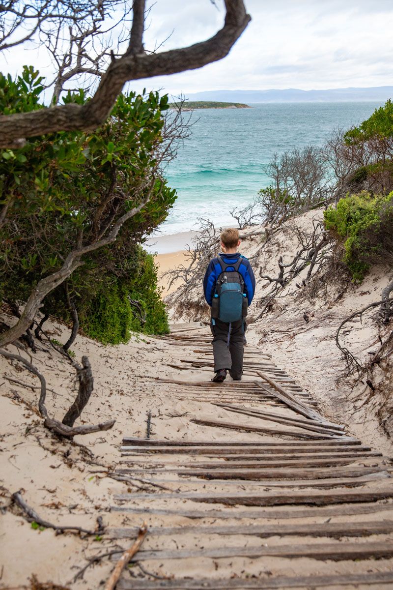 Trail to Hazards Beach