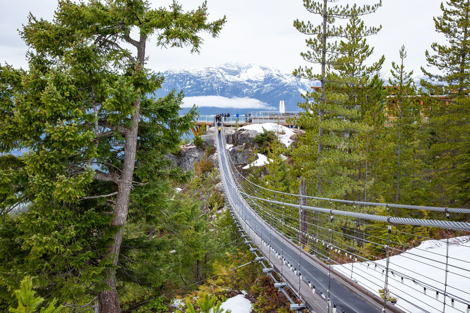 Sea to Sky Gondola Suspension Photo