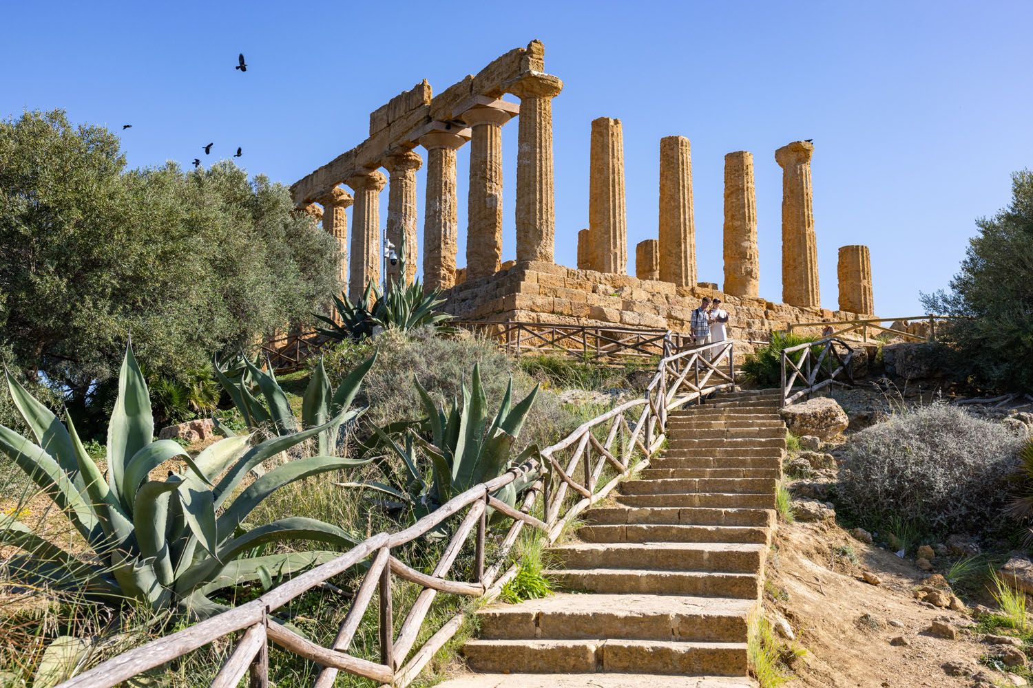 Steps to the Temple of Hera