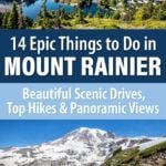 Things to Do Mount Rainier Washington