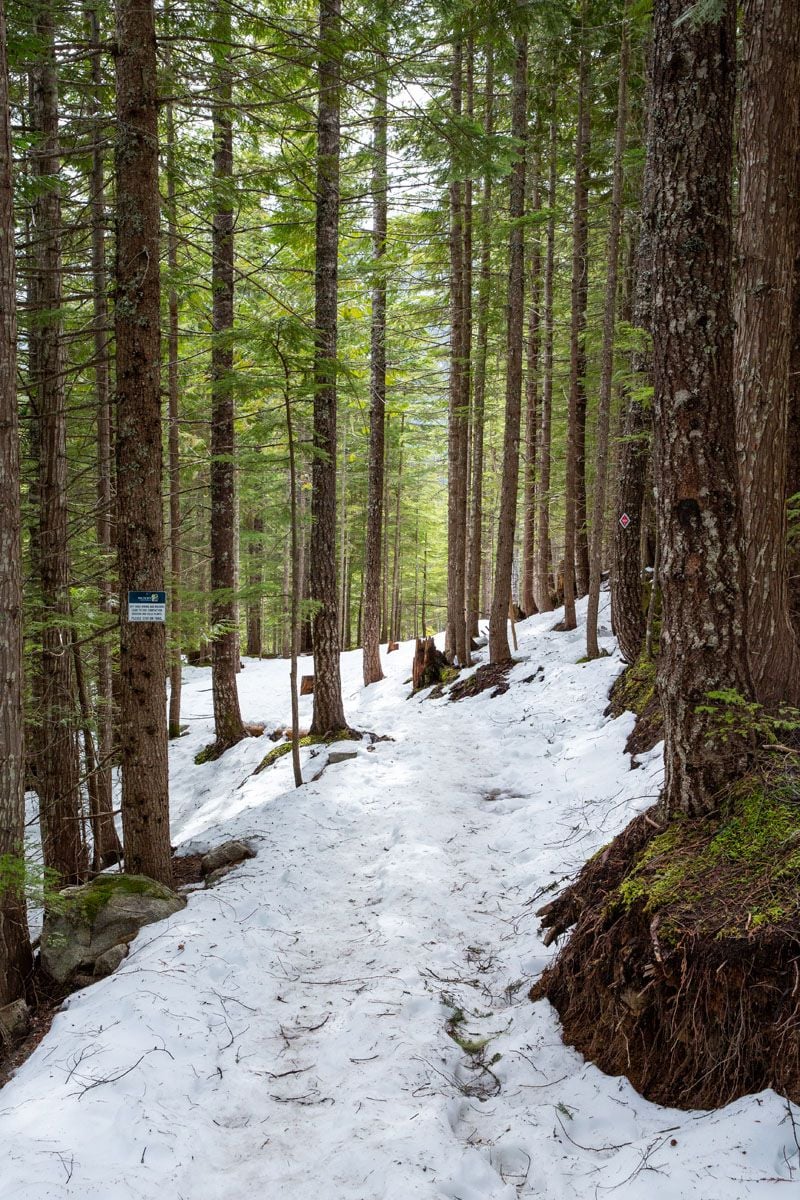 Wonderview Lake Trail Photo