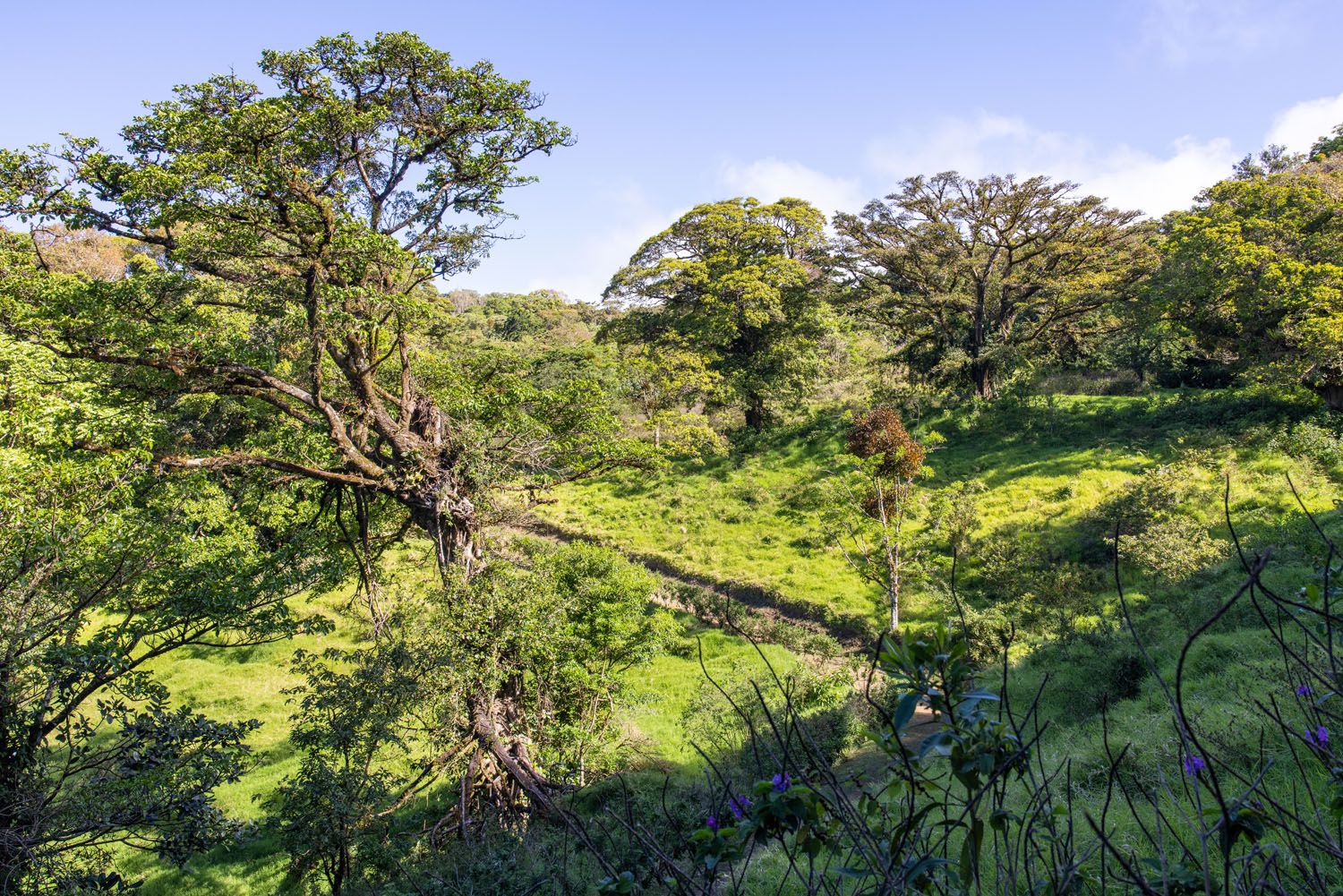 Curi Cancha Reserve