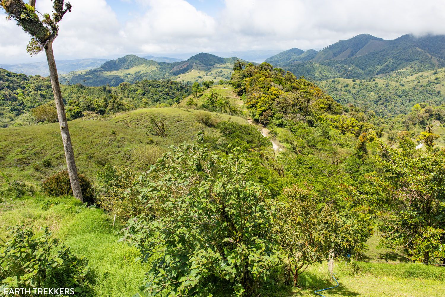 El Tigre Costa Rica