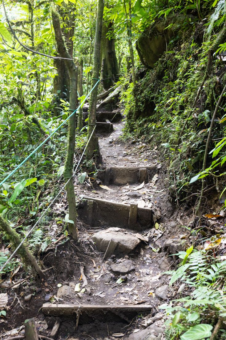 El Tigre Waterfall Hike Trail