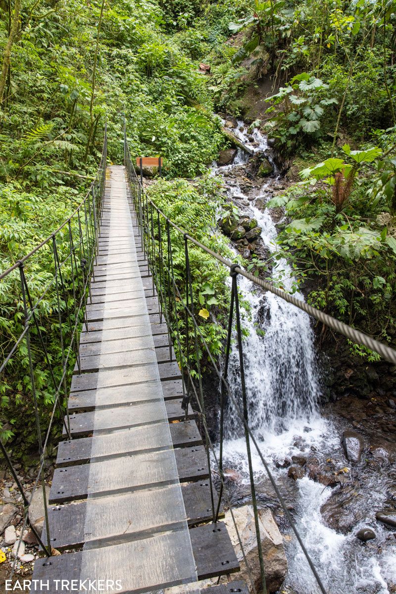 El Tigre Waterfalls Hike Monteverde