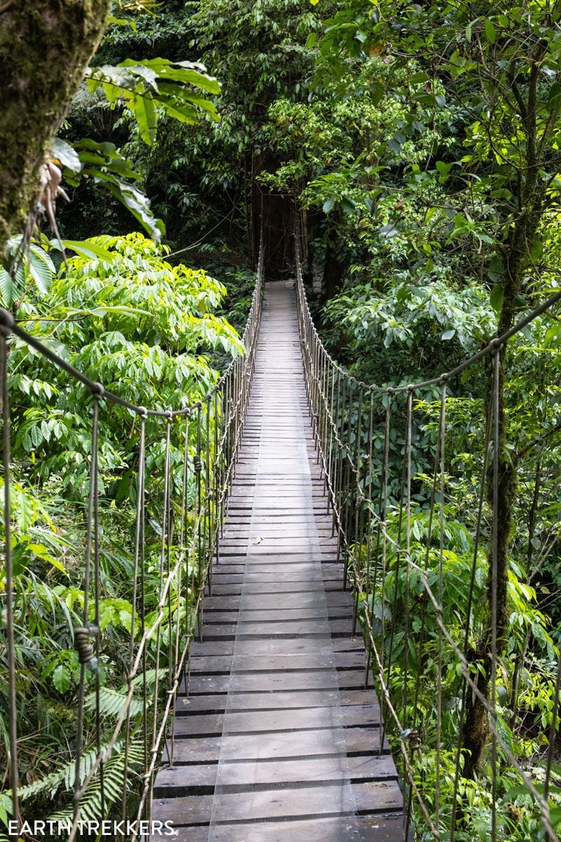 Hanging Bridge Monteverde Costa Rica