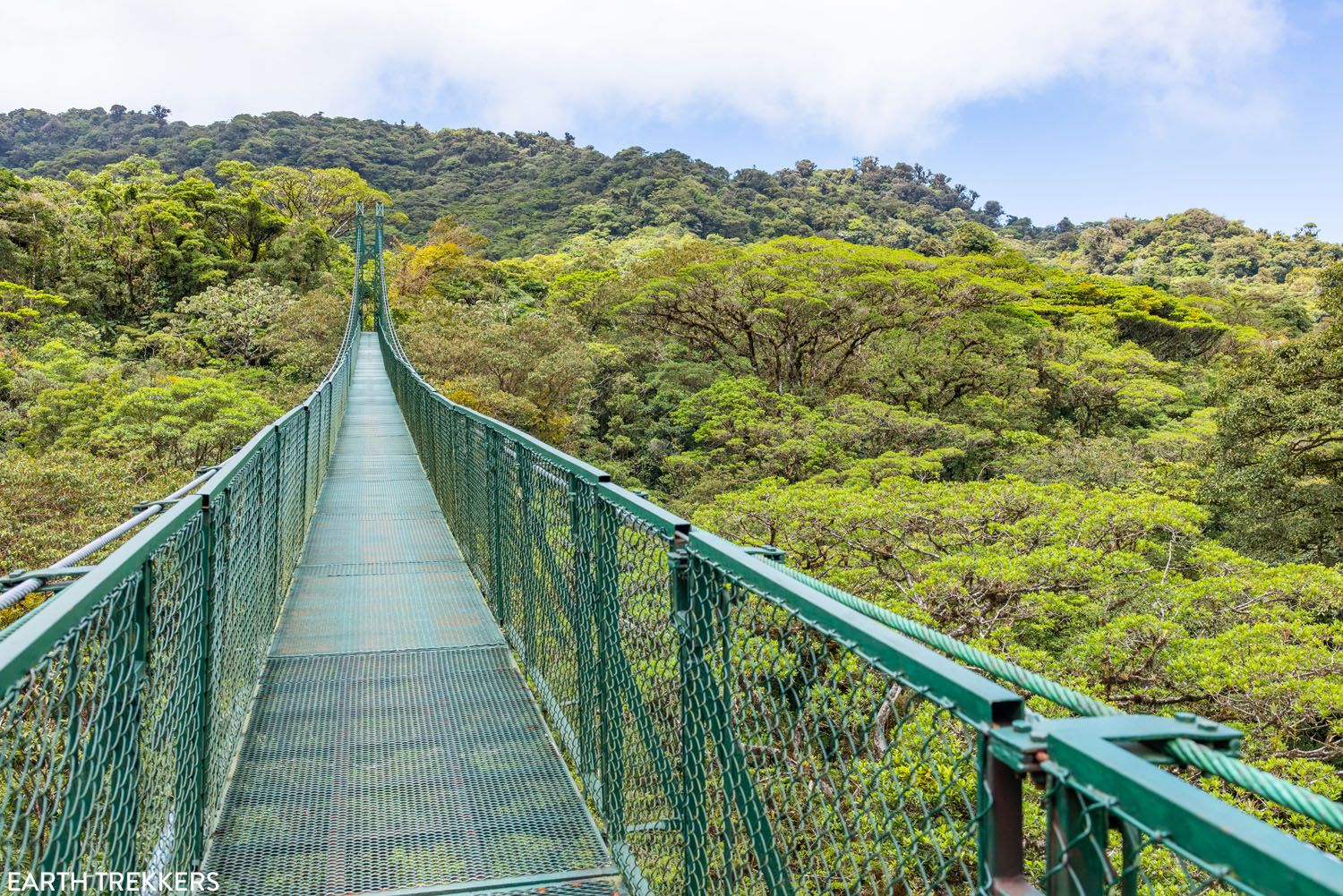 Monteverde Cloud Forest